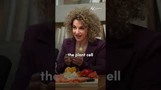 The right way to use garlic (most people mess this up) | Mel Robbins #Shorts