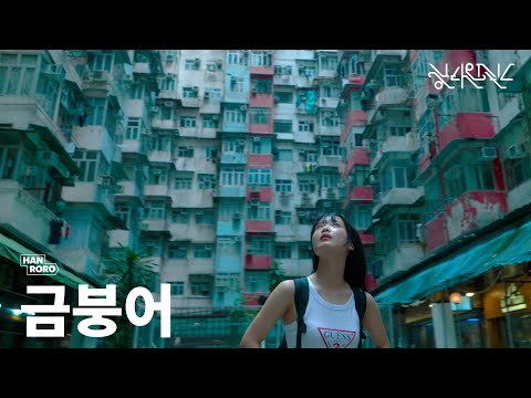 [MV] 한로로 (HANRORO) - 금붕어 (Goldfish)
