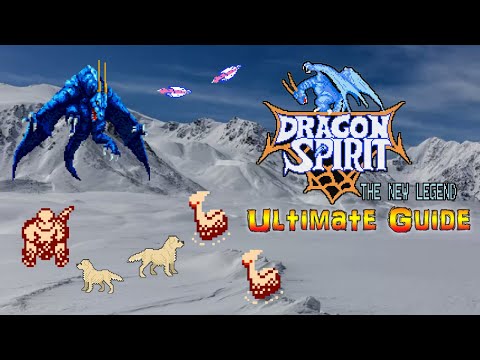 #DragonSpirit Dragon Spirit: The New Legend - NES - ULTIMATE GUIDE - ALL Areas, ALL Bosses, 100%!