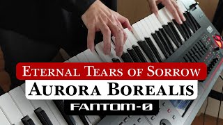 Eternal Tears of Sorrow / Aurora Borealis (Fantom 06 Cover)