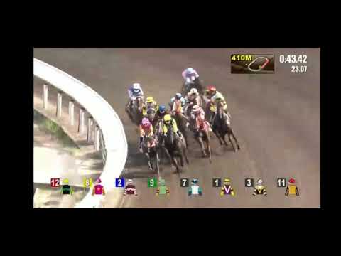 2021 07 04 沙田 第八場 潘頓 嘉應精英