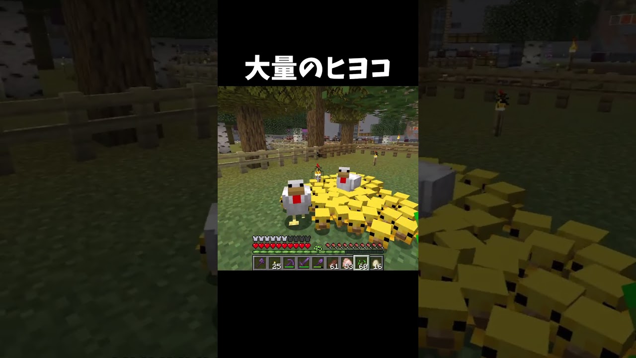 大量のヒヨコを集めてみたらキモすぎたww #マイクラ #shorts