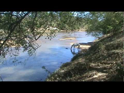 O redemoinho.(SWIRL)