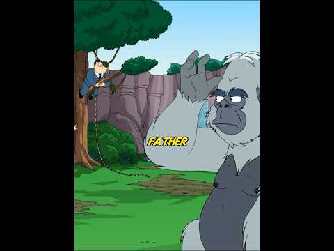 Steve Gets Gorilla-napped at the Zoo #funny