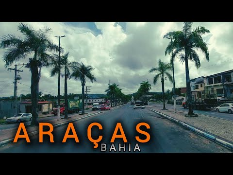 🔰 ARAÇAS - BA até ENTRE RIOS - BA 🔰  Fazenda Araticum / BA - 093