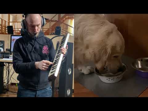 Satumaa tango with a dog drinking in 7/8