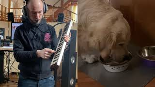 Satumaa tango with a dog drinking in 7/8