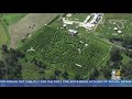 It Happens Here: Sterling's Mega Corn Maze