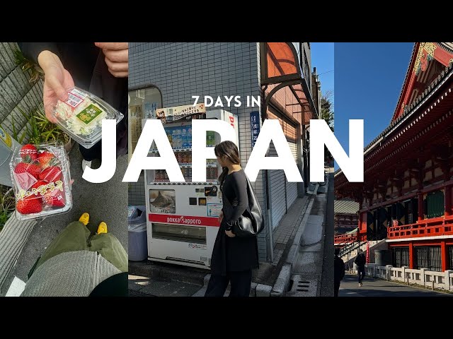 Travel vlog - JAPAN VLOG 🌸 | exploring tokyo, shopping in shinjuku, day trip to kyoto, & lots of eating