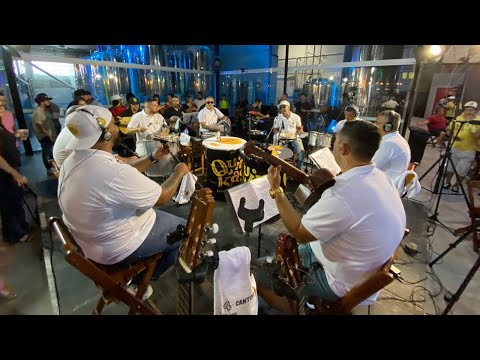 Pagode 4 Cantos - Pega a visão ( Ao Vivo )