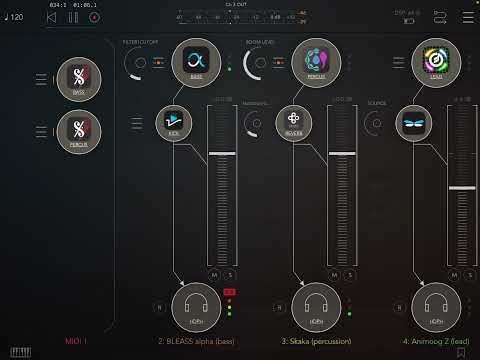 Apps MelodyBud BleassAlphaSynth SideKick Skaka Kajita AnimoogZ Dragonfly HQ (iPad5 - Zé Osório)
