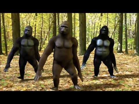 ABBA vs King Kong and Friends-King Kong Song-video edit