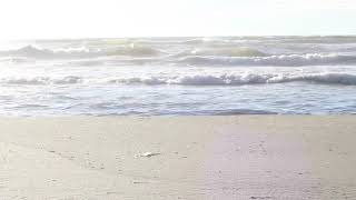 Sen Benim Şarkılarımsın - Nafiz Öz