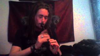 Eluveitie-Epilogue Tin Whistle Cover