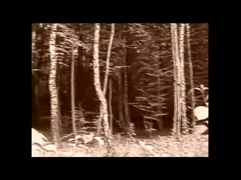 חיבוק מאוחר