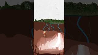 Stalagmite and Stalactite .. Lanform by Ground water #cdsjourney