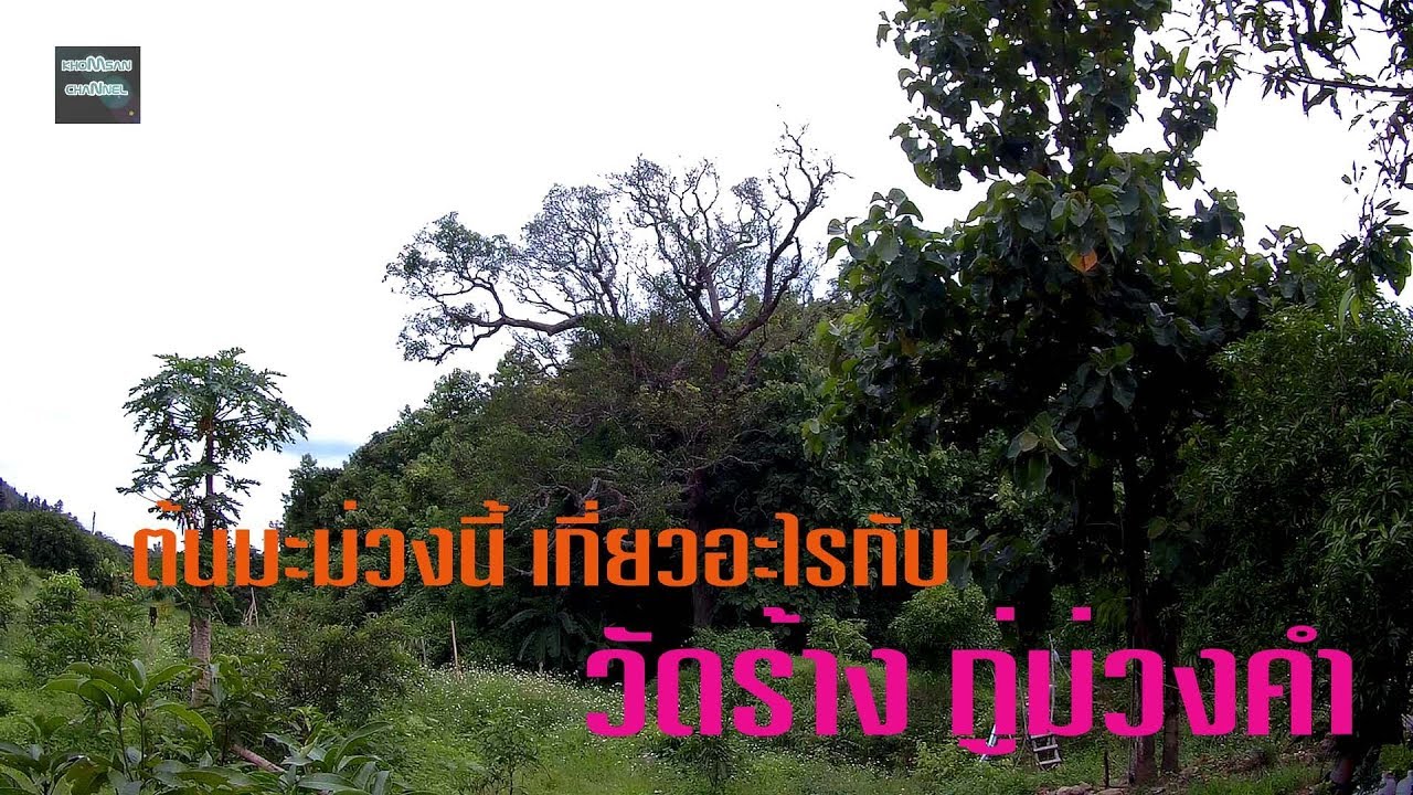วัดม่วงคำ