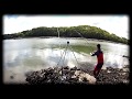 Daurades Royales En Surfcasting Léger