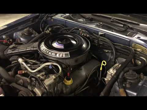 1985 Ford Thunderbird (CC-1419786) for sale in Fredericksburg, Virginia