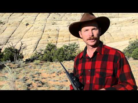 Fast target acquisition