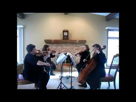 Promotional video thumbnail 5 for Rondo String Quartet