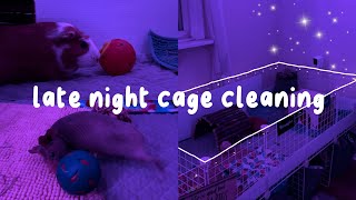 late night guinea pig cage cleaning