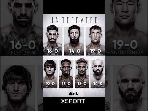 Top 10 undefeated ufc champion now #ufc #undefeated #khamzatchimaev #topuria #rakhmonov #mma