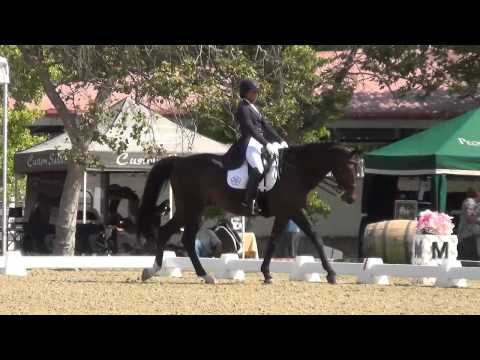 Anna Buffini   Wilton II