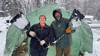 Amazon greenhouse chicken coop - Would we do it again? Take it down before winter breaks it down.