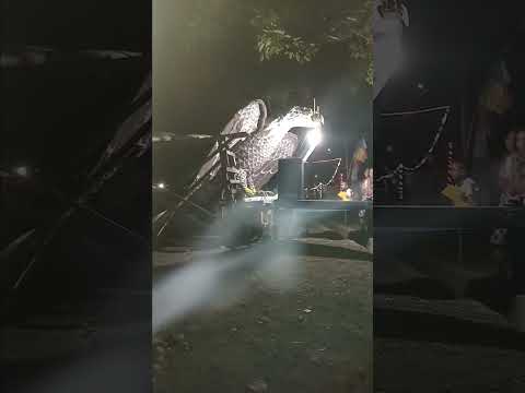 KARNAVAL DESA ADISARA DALAM RANGKA HUTRI KE 80 