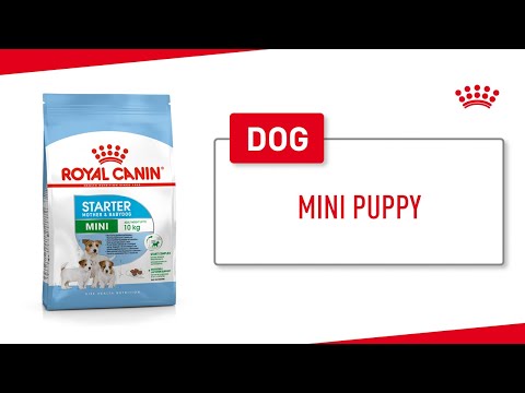 Royal canin mini puppy 800 g
