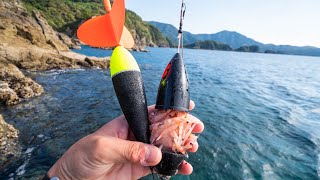 魚が沸く孤島で最強カゴ仕掛けを投入するとレアな魚が次々に釣れるwww