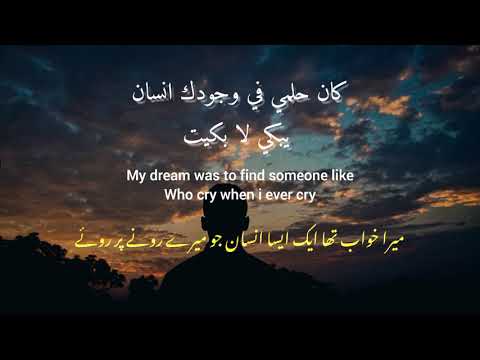 Take me in your arms Lyrics (خذني بحضنك ابغفى) || Arabic Song with English Translation #lofi #arabic