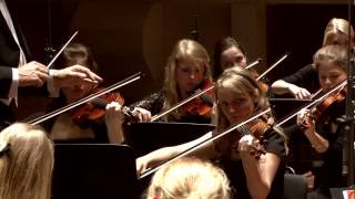 Nederlands Studenten Orkest: Strauss - Ein Heldenleben