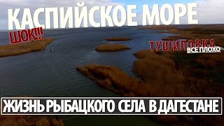 Рыбалка в кизлярского района дагестана