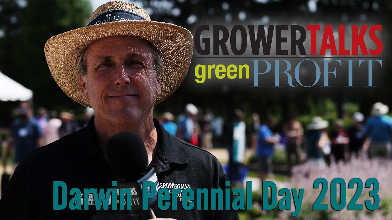 Visiting Darwin Perennial Days 2023