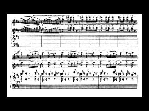 Navarra Op.33 (P. de Sarasate) Score Animation