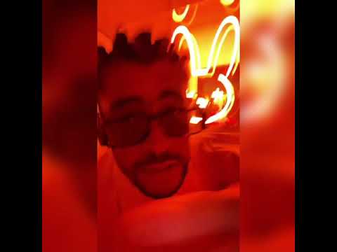 Bad Bunny - Ronca Freestyle Instagram