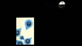 Black Swan Network - - Late Music, Volume One (Full Album)