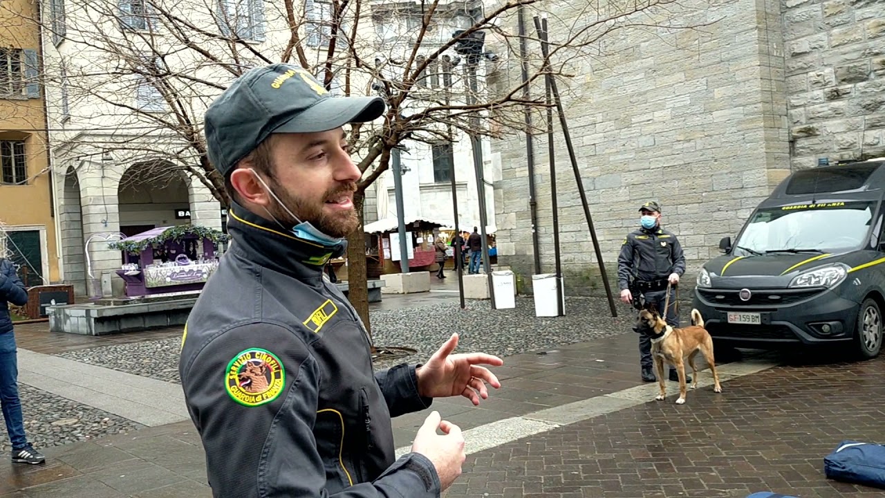 GUARDIA DI FINANZA UNITA’ CINOFILI: PRESENTAZIONE AI COMASCHI DELLA LORO ATTIVITA’