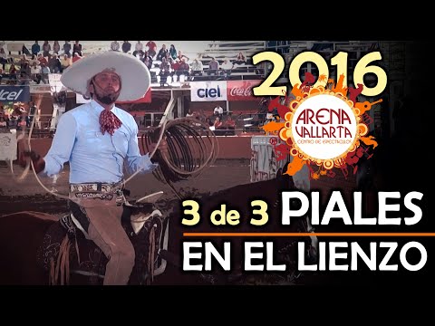 3 of 3 Piales on the Canvas - SOUVENIR Arena Vallarta 2016
