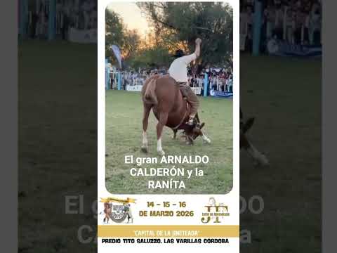 en las 81 ediciones en la capital de la jineteada las varillas