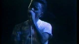 New Order: This Time of Night @ Rotterdam 1985