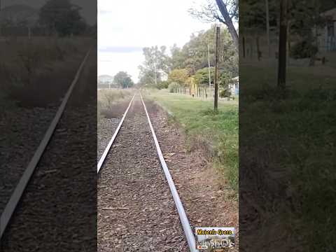 ¿Una estación Fantasma? ¿Qué pasó acá?  #trenesargentinos #canalmarcelogreco #turismobuenosaires