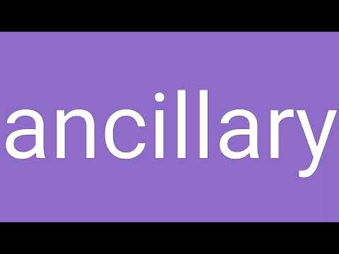 Ancillary Definition & Meaning