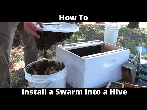 How To Install a Swarm into a Hive