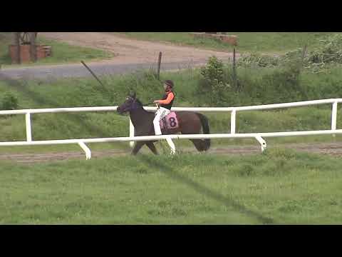 SINT COLONIA 251025 c08 - DIDO