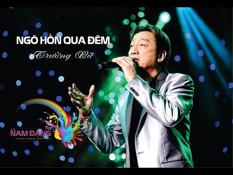 Thể hiện bởi Trường Vũ