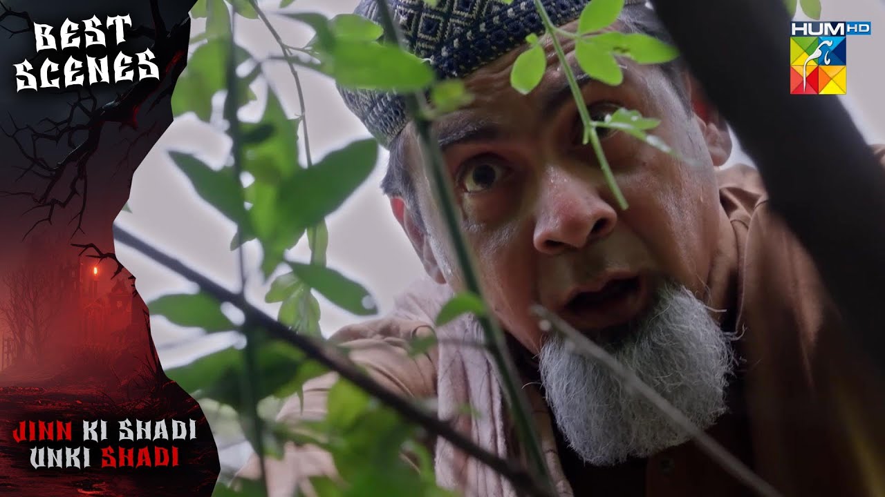 𝗝𝗶𝗻𝗻 𝗞𝗶 𝗦𝗵𝗮𝗱𝗶 𝗨𝗻𝗸𝗶 𝗦𝗵𝗮𝗱𝗶 - Ep 21 Best Scene 01 [ Wahaj Ali & Sehar Khan ]- HUM T