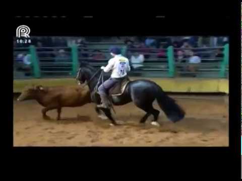 Aberta de Esteio – 4° lugar machos –  AZ de Ouros Esperanto